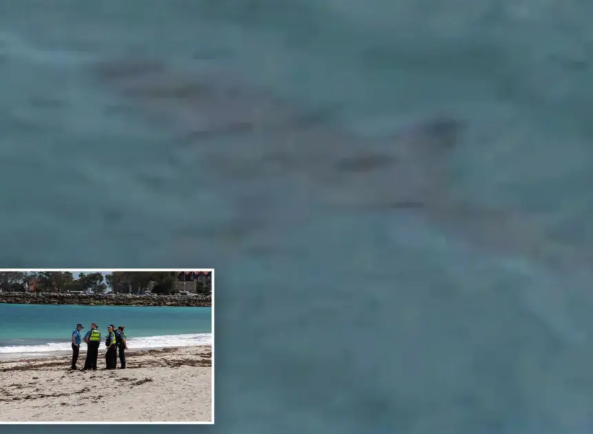 Shark kills swimmer in attack off Australian beach as witnesses recall seeing ‘pool of blood’
