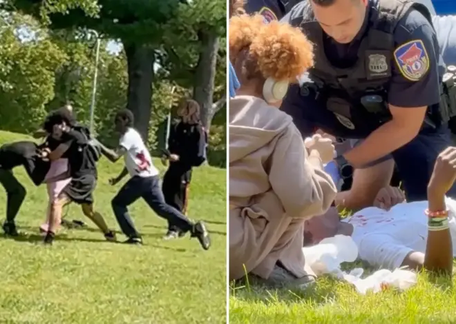 Disturbing video captures bloody Westchester college campus stabbing with 3 students injured