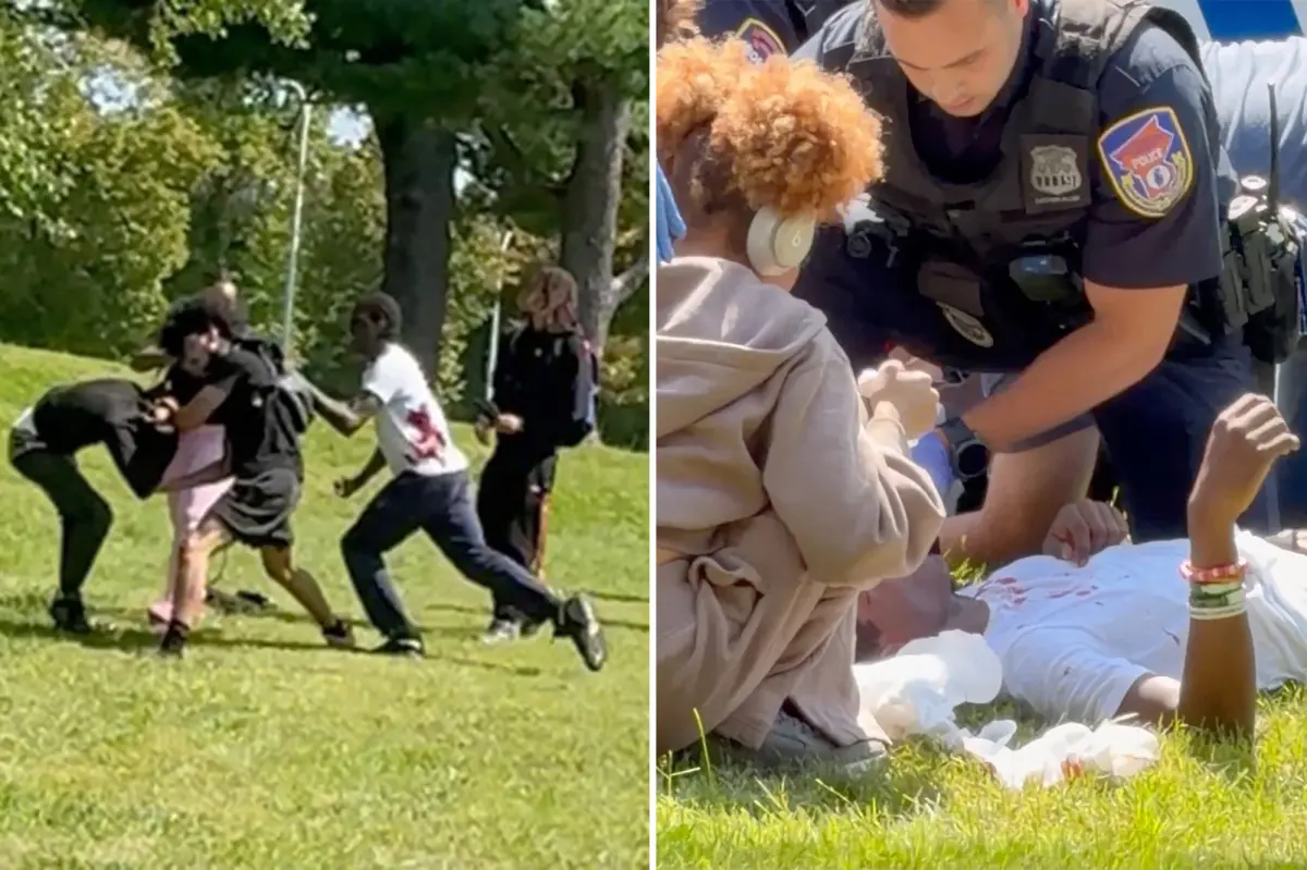 Disturbing video captures bloody Westchester college campus stabbing with 3 students injured