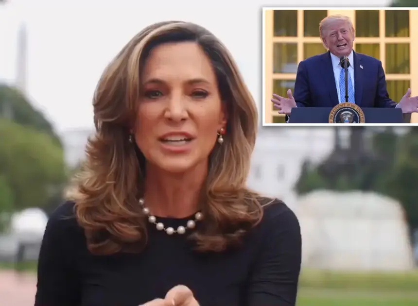 Trump-backed GOP rep breaks with president on immigration enforcement: ‘Gone too far’ 