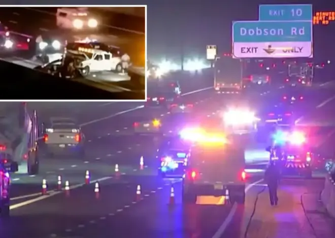 Tesla on autopilot halts on busy highway before giant F-350 truck rear-ends and kills driver