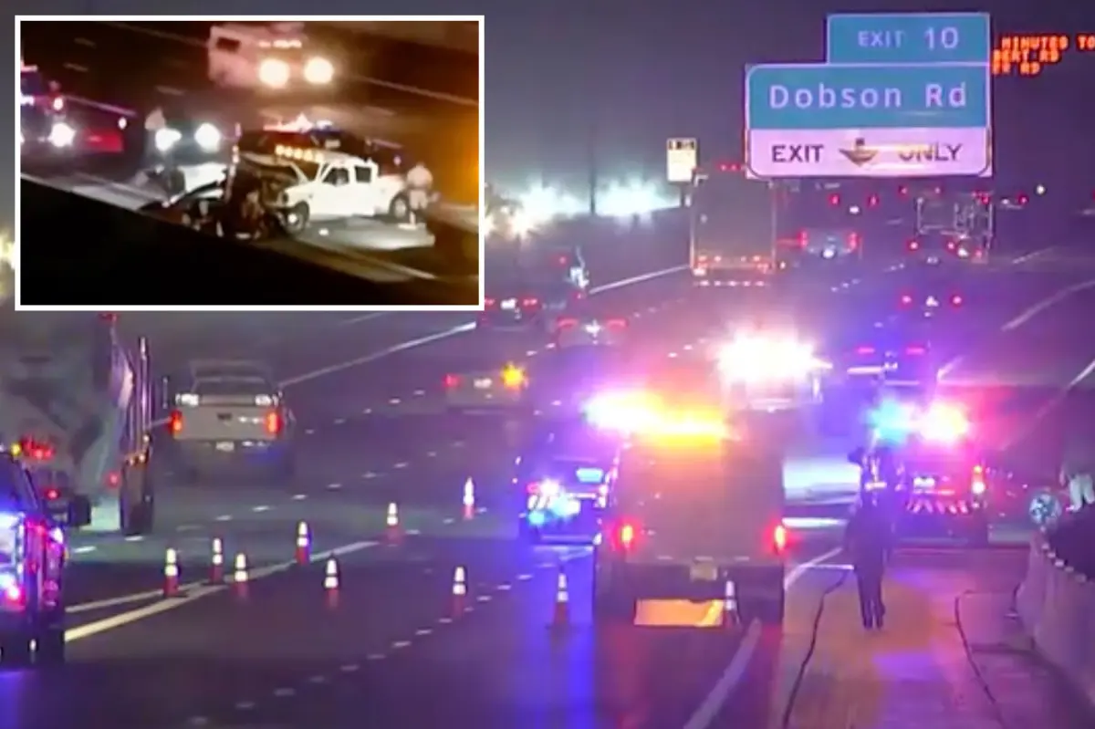 Tesla on autopilot halts on busy highway before giant F-350 truck rear-ends and kills driver