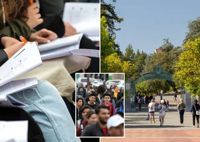 Exclusive | California high school grads score 4.0 GPAs but can’t do basic math, professors say