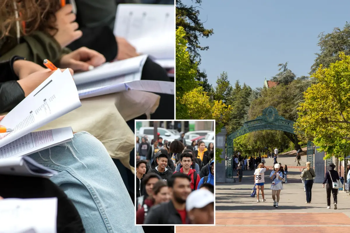 Exclusive | California high school grads score 4.0 GPAs but can’t do basic math, professors say