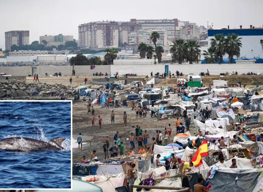 Vile video shows migrants in Ceuta gleefully beating baby dolphin