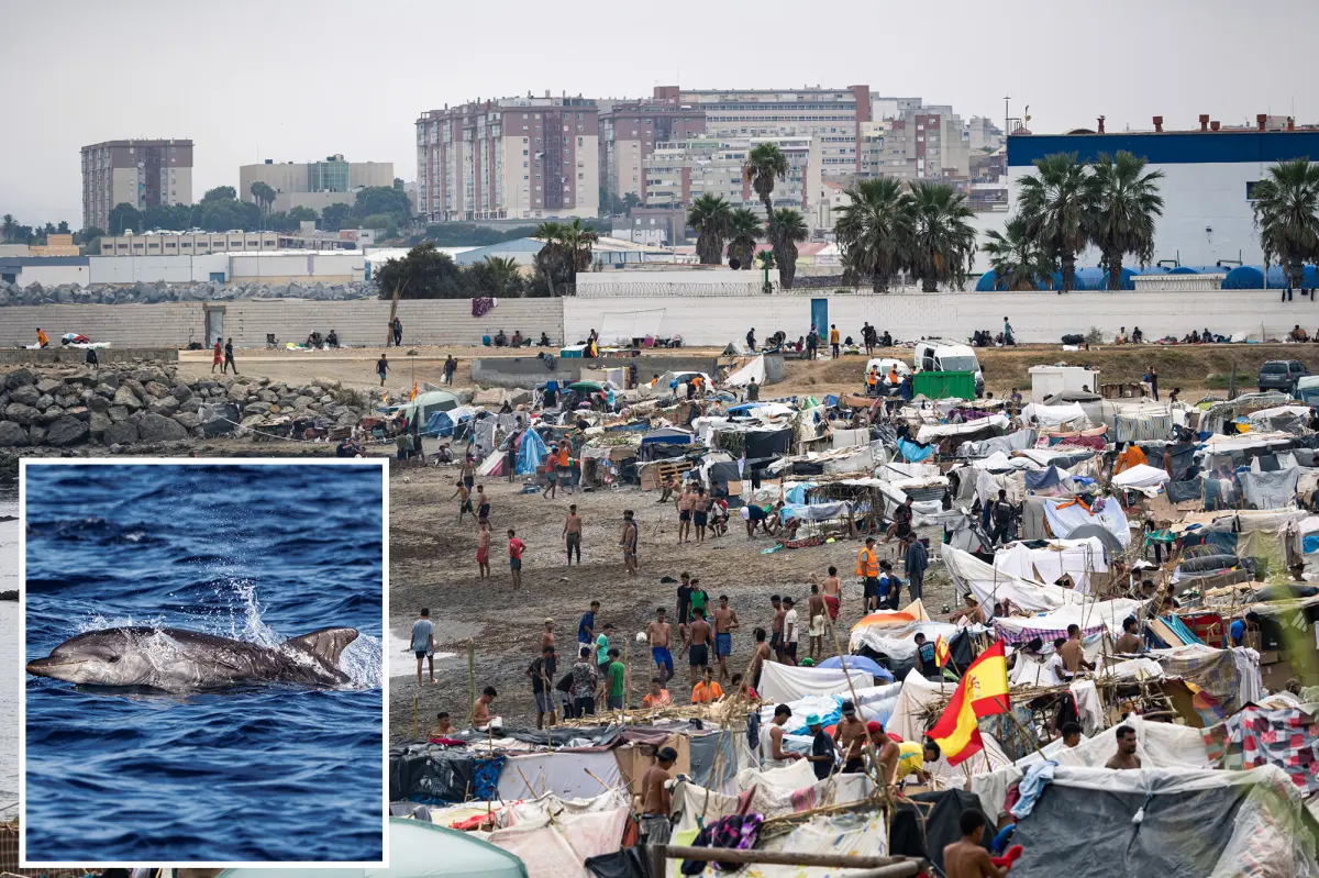 Vile video shows migrants in Ceuta gleefully beating baby dolphin