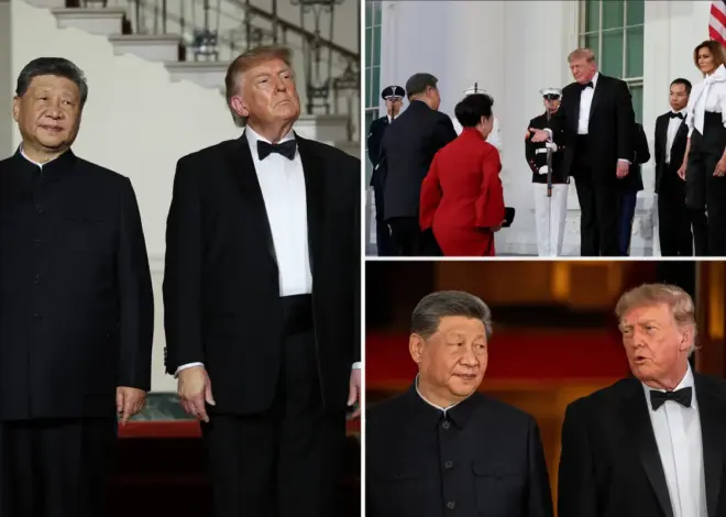 Trump ‘wasn’t trying to dominate’ at state dinner with Xi, as body language expert notes ‘sign of respect’