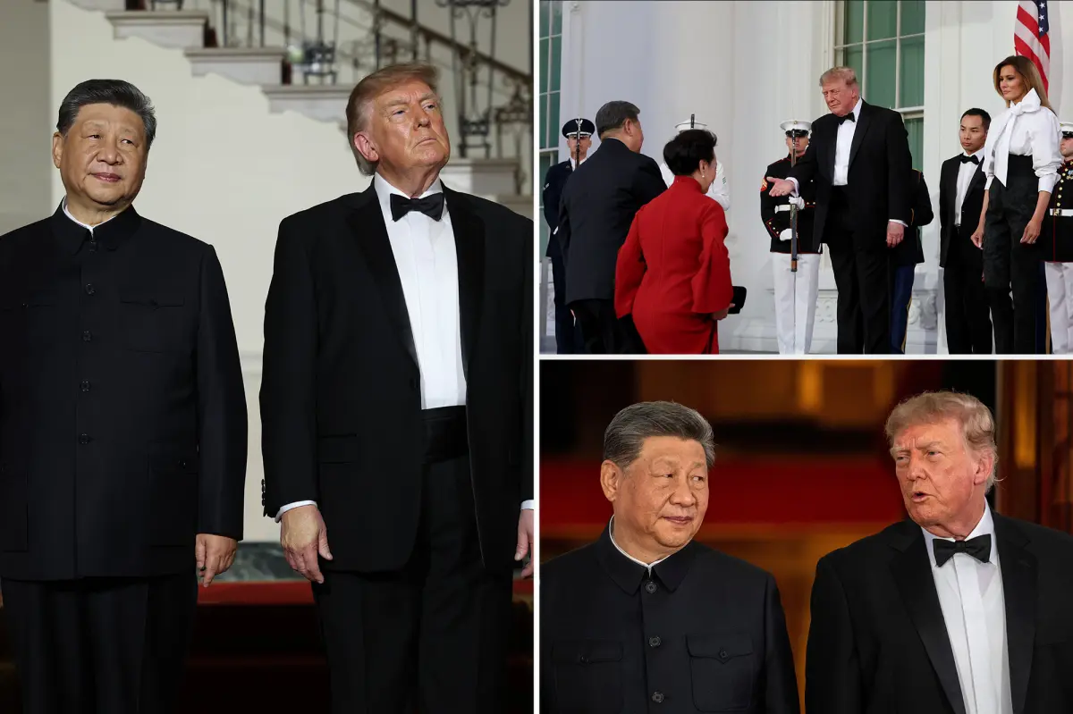 Trump ‘wasn’t trying to dominate’ at state dinner with Xi, as body language expert notes ‘sign of respect’