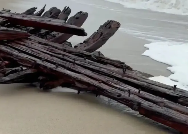 Nor’easter uncovers 19th-century Nantucket shipwreck as storm batters East Coast