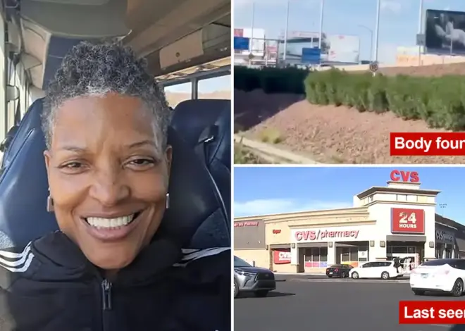 New timeline sheds light on final moments of NYC grandma Alisa Goods, found dead in near Vegas airport