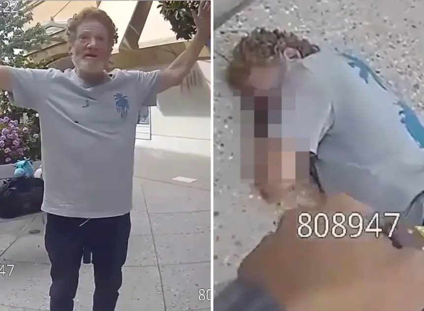 Palo Alto mall menace zapped with Taser before faceplanting and breaking his neck