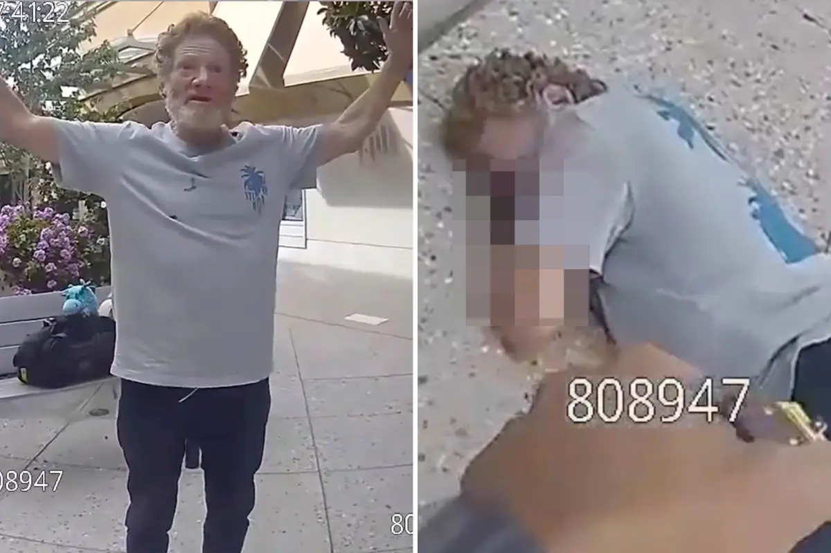 Palo Alto mall menace zapped with Taser before faceplanting and breaking his neck