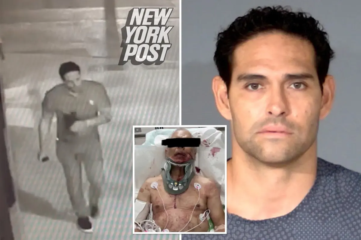 Ex-Jets QB Mark Sanchez to plead guilty in 2025 attack on grease truck driver that left him badly injured