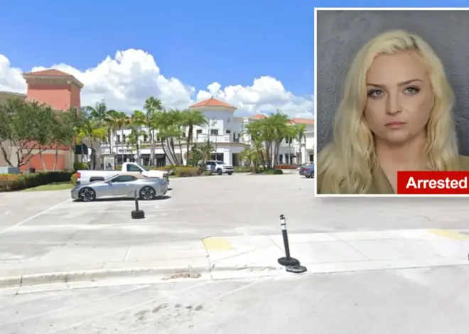 Florida seductress accused of drugging men she meets out, stealing their watches including nearly $100K Rolex