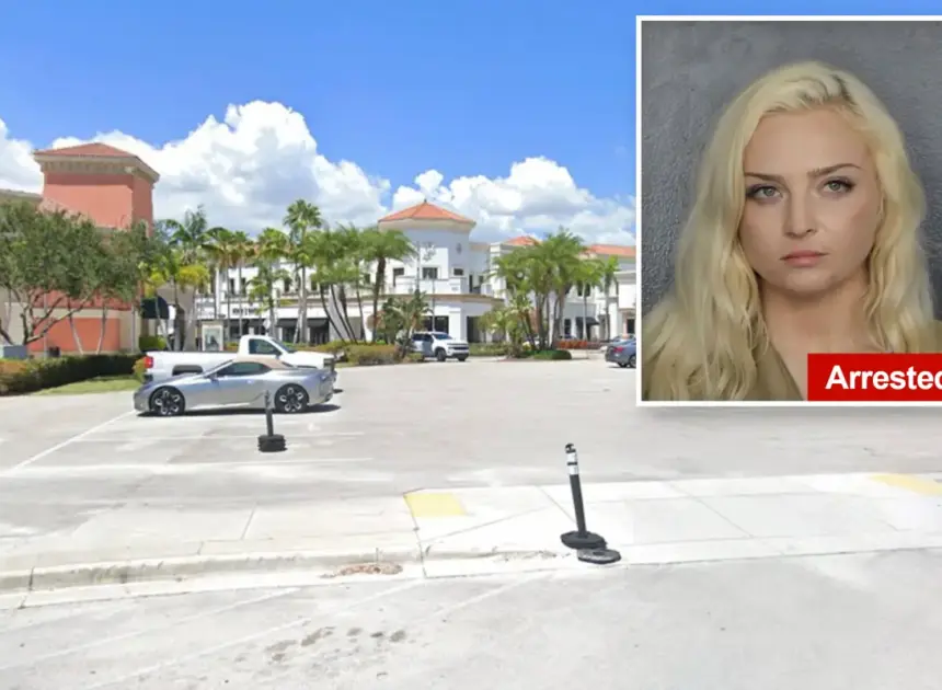 Florida seductress accused of drugging men she meets out, stealing their watches including nearly $100K Rolex