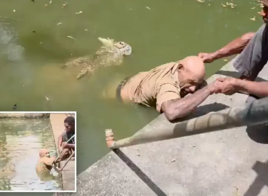 Chilling video shows crocodile chomp handler’s legs as he desperately fights for life: ‘He couldn’t scream’