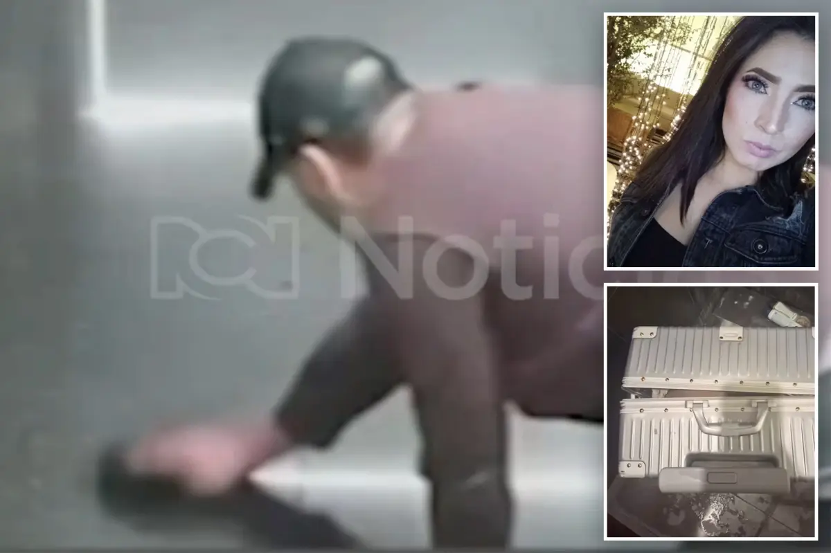 Video appears to show stalker doctor wiping blood from where model was murdered, stuffed in suitcase