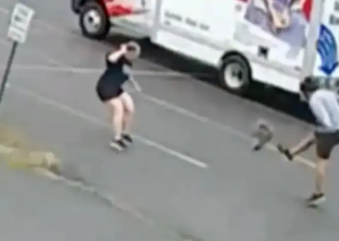 Mystery animal terrorizing New Hampshire neighborhood after attacking 3rd person
