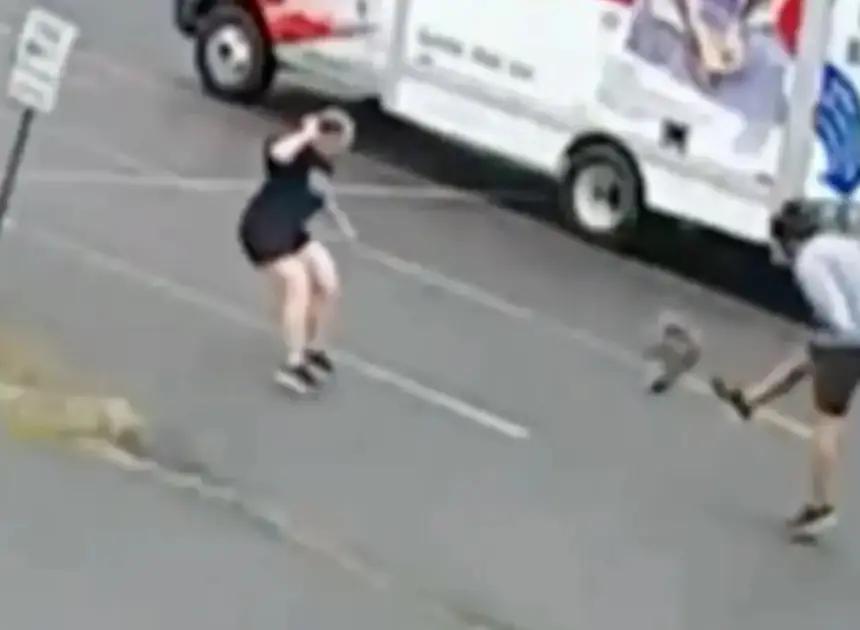 Mystery animal terrorizing New Hampshire neighborhood after attacking 3rd person