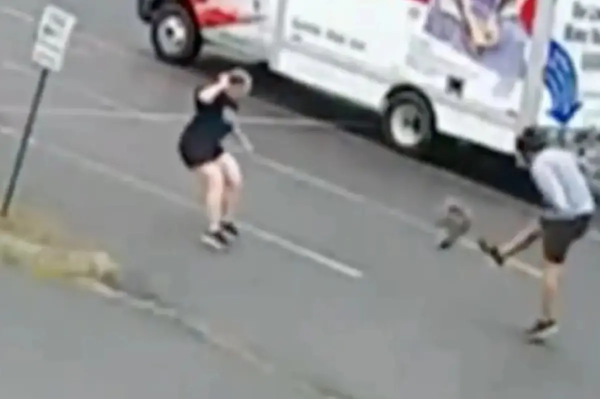 Mystery animal terrorizing New Hampshire neighborhood after attacking 3rd person