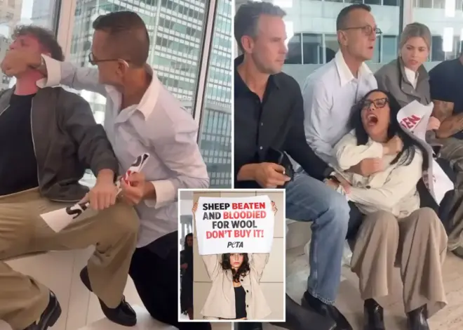 NYFW honcho tackles PETA protesters in wild caught-on-video scene in front of A-listers 