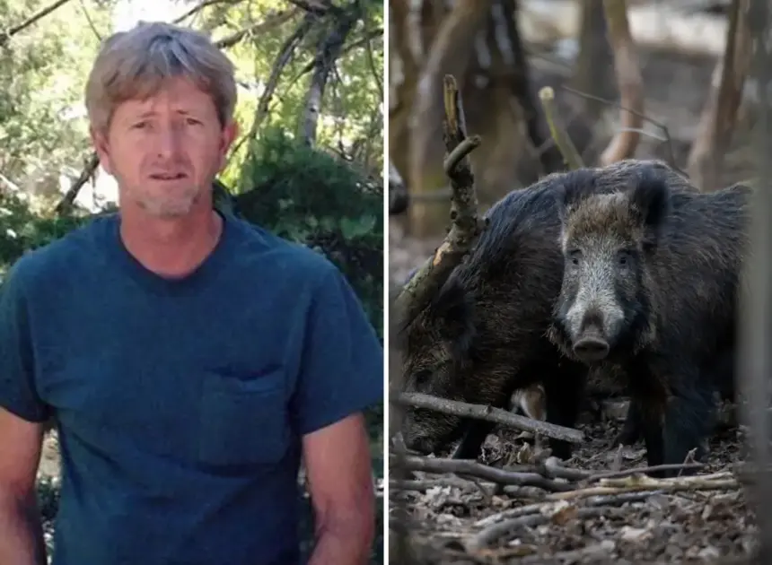 Recently retired Oklahoma man, 63, dies after driving into pack of wild hogs