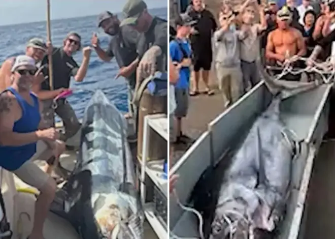Fishermen make record-breaking catch off California coast