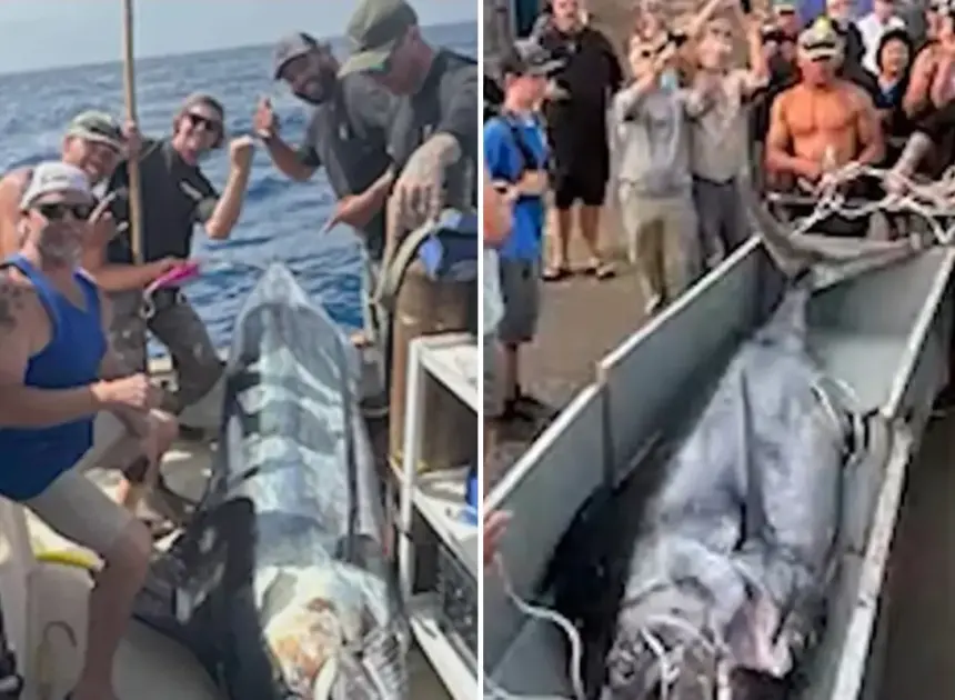 Fishermen make record-breaking catch off California coast