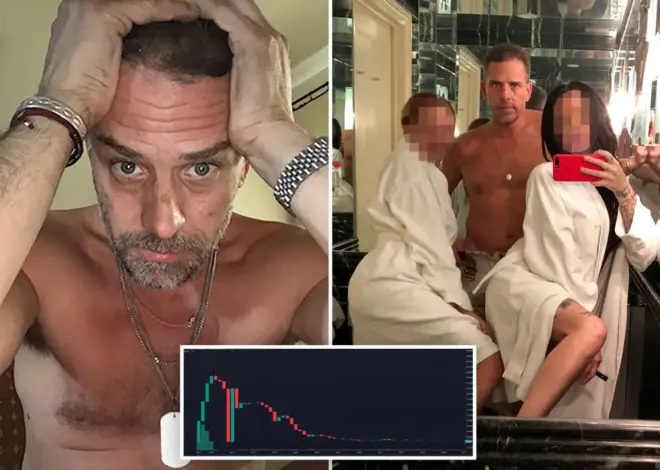 Exclusive | Hunter Biden’s meme coin crushed 4 out of 5 buyers while one mystery trader raked in $1M: ‘classic rug pull’