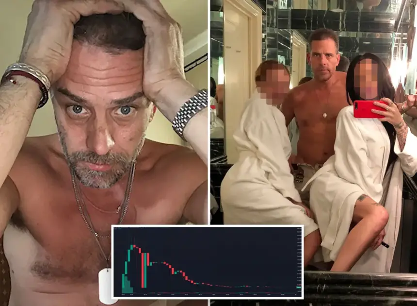 Exclusive | Hunter Biden’s meme coin crushed 4 out of 5 buyers while one mystery trader raked in $1M: ‘classic rug pull’