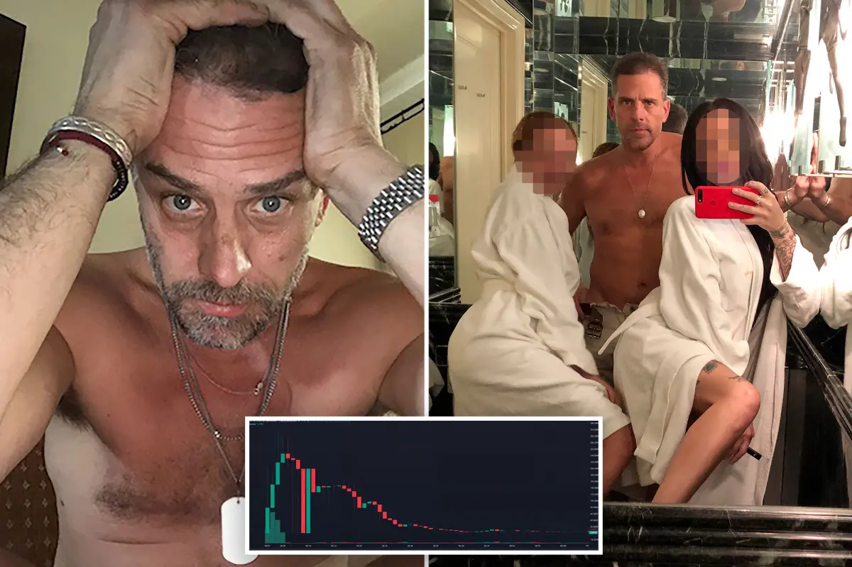 Exclusive | Hunter Biden’s meme coin crushed 4 out of 5 buyers while one mystery trader raked in $1M: ‘classic rug pull’