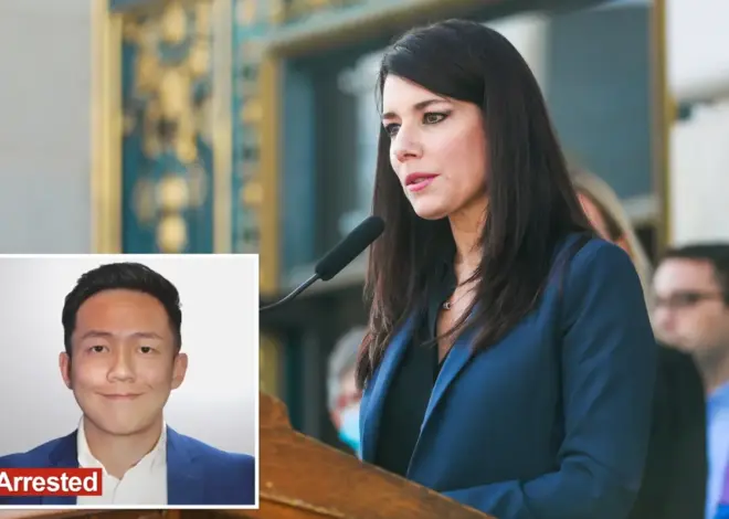 News anchor turned California Democrat busted in ICE operation