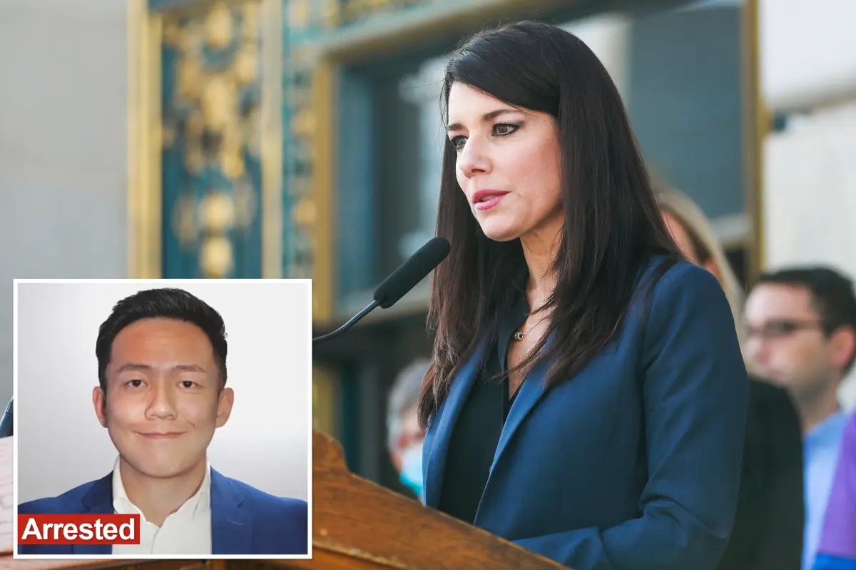 News anchor turned California Democrat busted in ICE operation