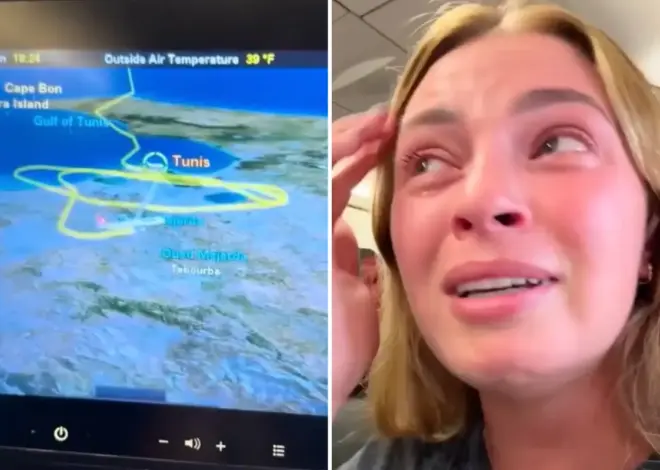 Turkish Airlines flight ‘started to plummet’ after trying to land 3 times during storm: ‘Absolutely terrifying’