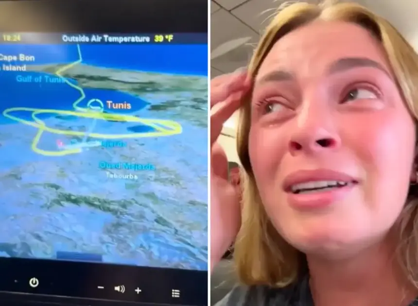 Turkish Airlines flight ‘started to plummet’ after trying to land 3 times during storm: ‘Absolutely terrifying’
