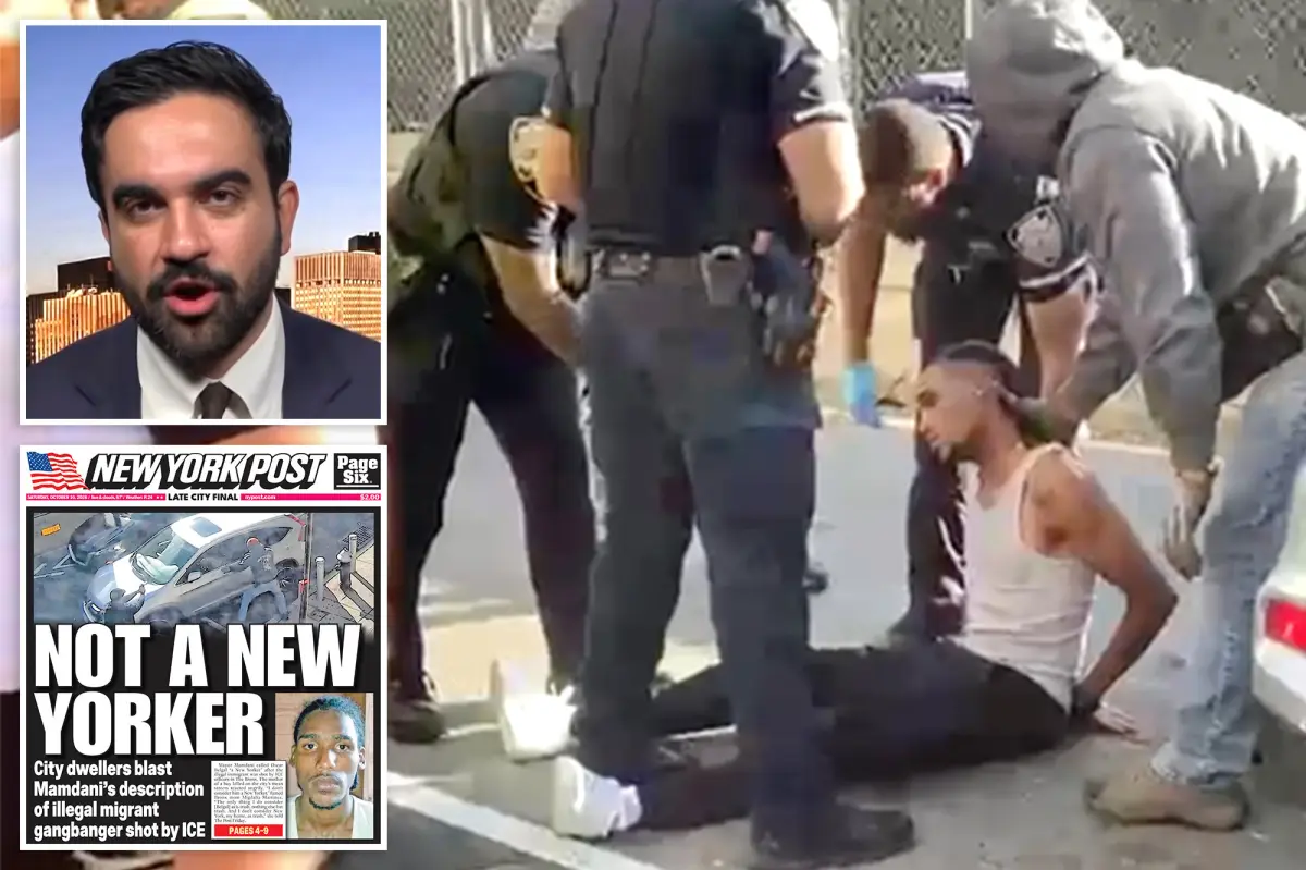 Mamdani threatens to probe ICE after NYC ‘illegal migrant’ shooting — as he compares agency to terrorists