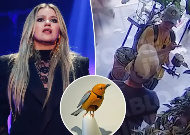 Kelly Clarkson interaction at Brooklyn store where viral dispute over mechanical singing bird occurred seen in security footage