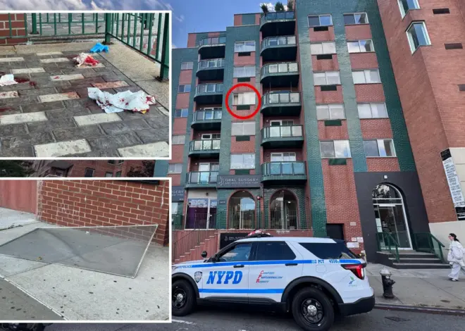 Boy, 2, plunges from NYC building days after alleged shove killed Bronx mom, injured baby
