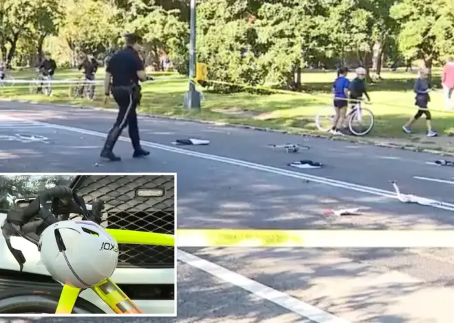 Elderly cyclist, 71, killed after hitting unleashed dog, flipping over handlebars in Central Park