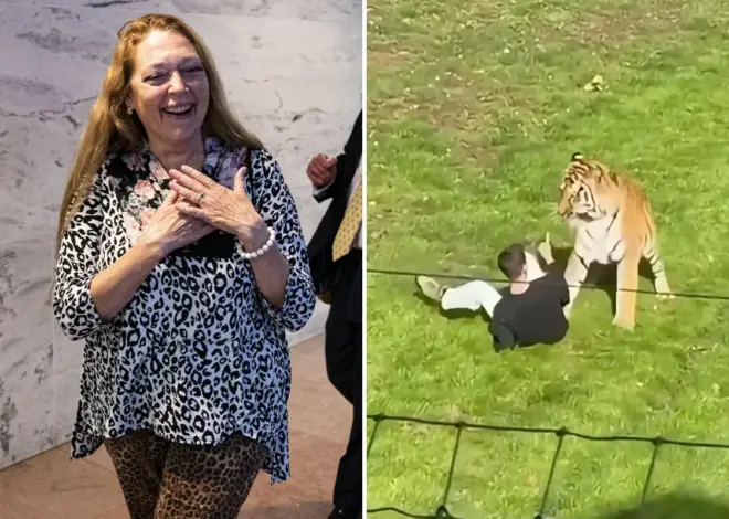 ‘Tiger King’ star Carole Baskin tells Post that ‘tiger was doing nothing wrong’ when it mauled UK zoo intruder