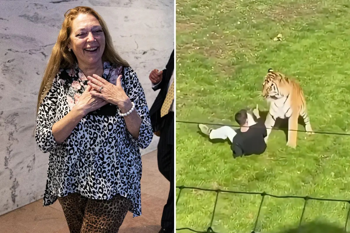 ‘Tiger King’ star Carole Baskin tells Post that ‘tiger was doing nothing wrong’ when it mauled UK zoo intruder