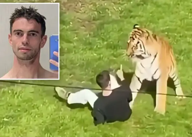 First picture of man mauled to death by tiger revealed as shocking details of last moments emerge