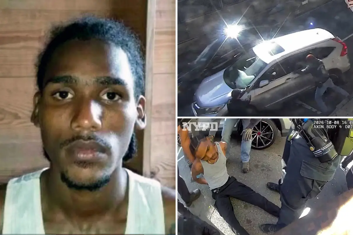 ‘Criminal illegal’ migrant shot by ICE terrorized NYC apartment building with machete: ‘Menace to society’