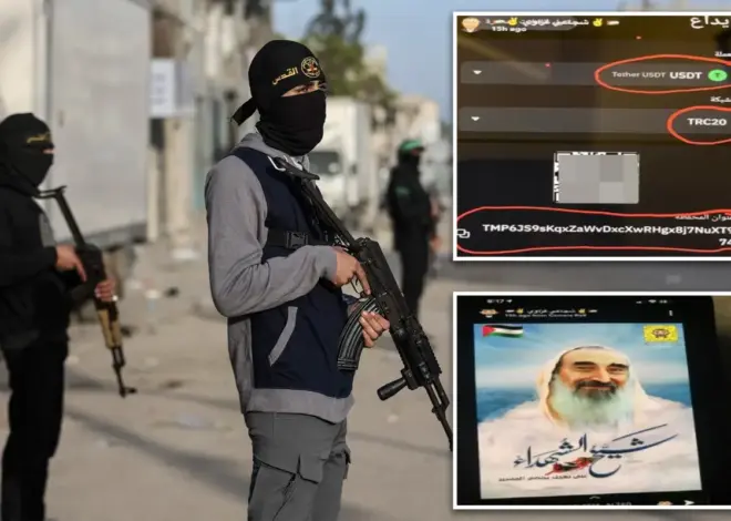 Two US brothers busted in $1.7M Hamas fundraising scheme — that was exposed with help from the NYPD
